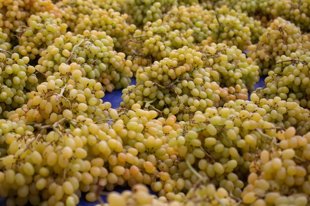 Foto uve verdi fresche adatte per la composta di purea di uva da succo e vino