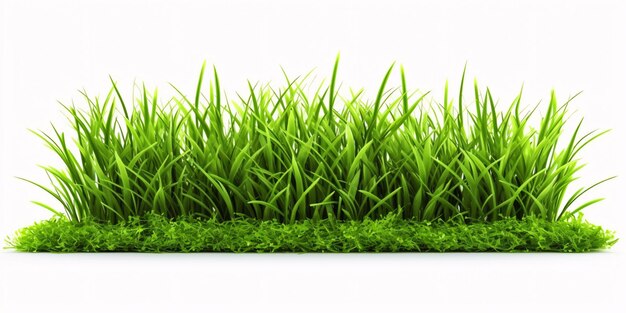 Fresh Green Grass Isolated on White Background Generative AI