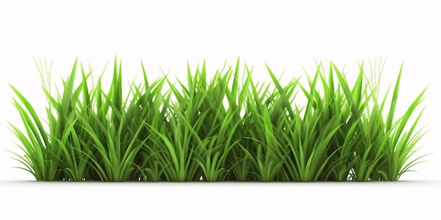 Fresh Green Grass Isolated on White Background Generative AI