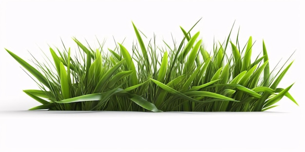 Fresh Green Grass Isolated on White Background Generative AI