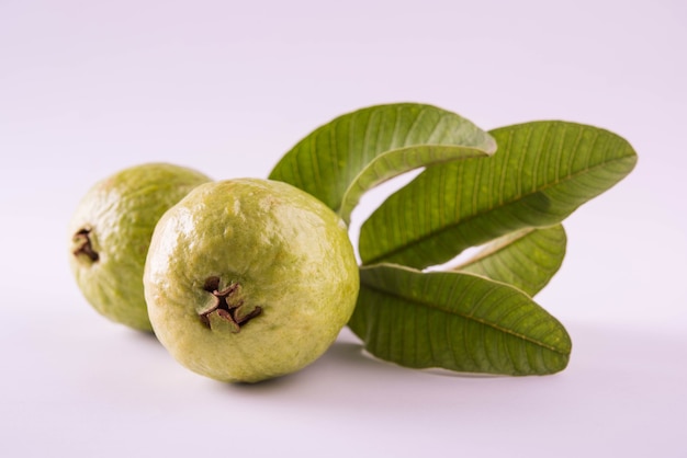 Fresh green Guava fruit also known as Amrood in Hindi and Peru in Marathi, Served in a basket as a whole or slices over colourful background. Selective focus