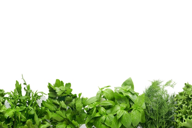 新鮮な緑のハーブ 新鮮なバジル ディル セージ パセリ ルッコラ ホワイト バック グラウンドのフレーム 健康食品 トップ ビュー モックアップ コピー スペース