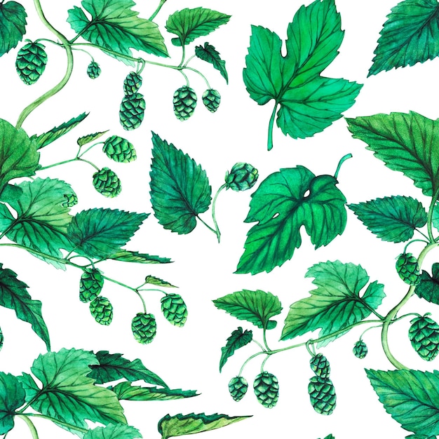 Fresh green hop. Watercolor hand drawn illustration for Octoberfest. Sketch on on a transparent background for ornament or any design. Hop cones for making beer and bread. Pattern
