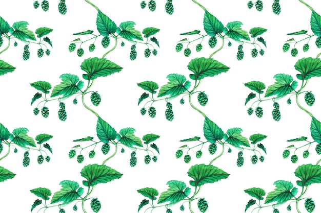 Fresh green hop Watercolor hand drawn illustration for Octoberfest Sketch on on a transparent background for ornament or any design