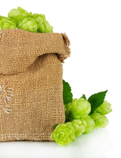 Fresh green hops in burlap bag isolated on white