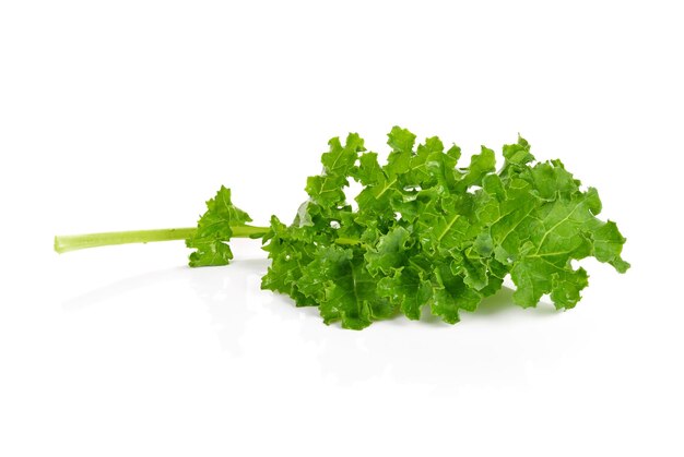 Fresh green kale leaves isolated on white