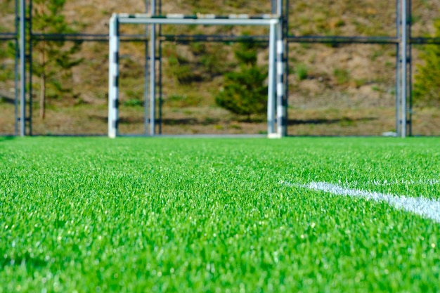 サッカー場にマーキングのある新鮮な緑の芝生