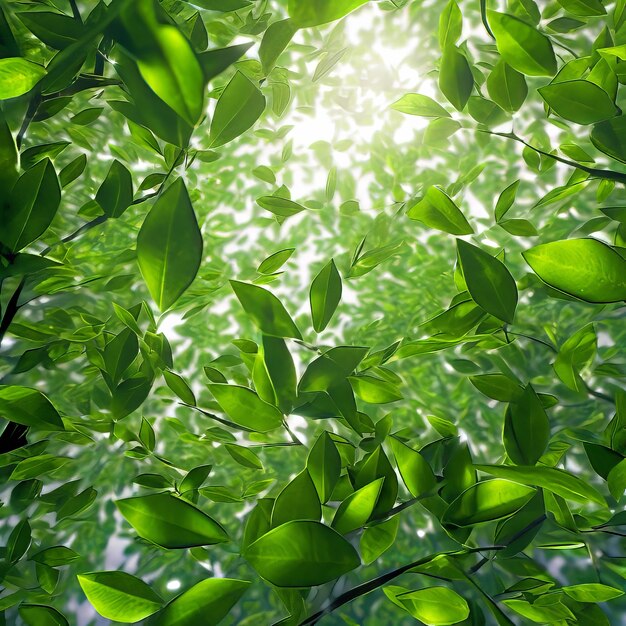 Fresh green leaves flying on wind