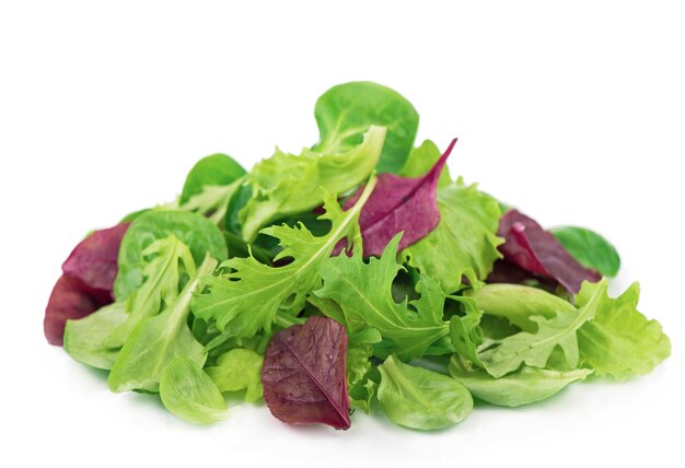 Fresh green leaves lettuce salad isolated on white background