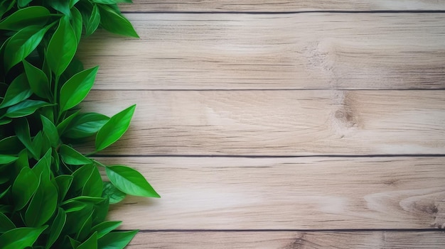 fresh green leaves in the wooden background