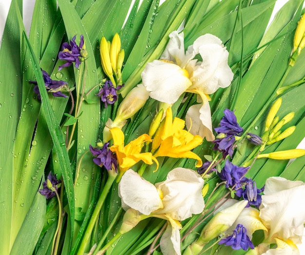 Fresh green leaves yellow lily budswhite iris flowersblue bells and dew dropsBeautiful natural background
