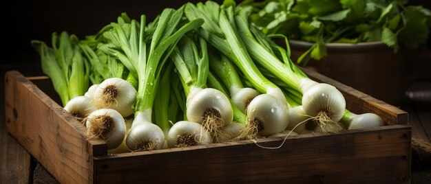 Fresh green leeks in a wooden crate