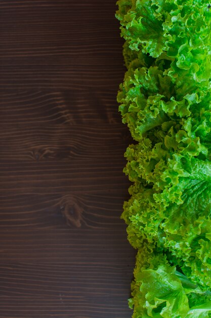 Fresh green lettuce on a dark background. The concept is vegetarianism.