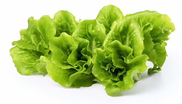 Fresh green lettuce isolated on white background generated by AI