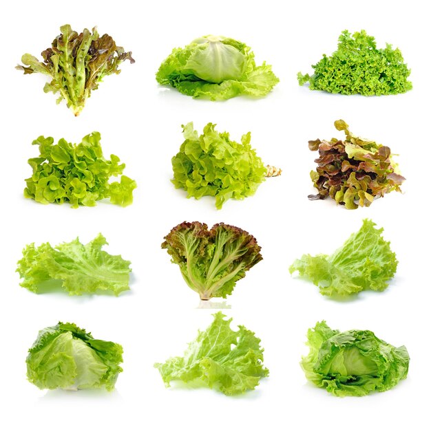 Fresh green lettuce isolated on a white