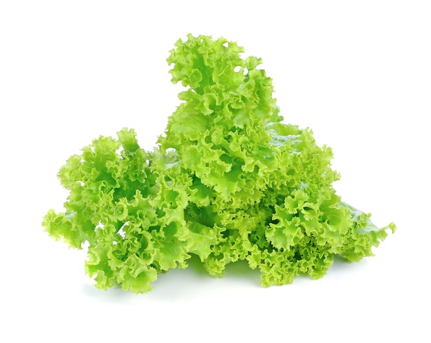 Fresh green lettuce isolated