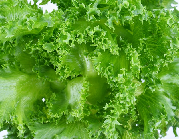 Fresh green lettuce leaves background