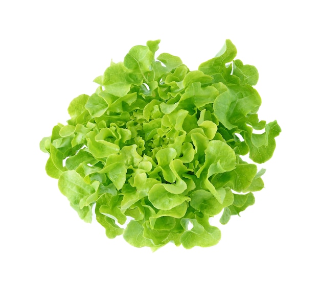 Fresh green lettuce leaves isolated on white