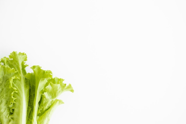 Fresh green lettuce salad closeup Top view