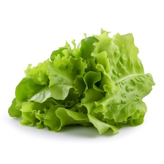 Fresh green lettuce salad leaves isolated on white background generate ai