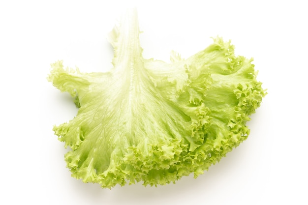 Fresh green lettuce salad leaves isolated on white surface.