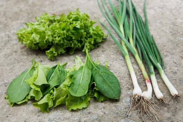 Fresh green lettuce,spinach,green onion from a garden bed on the stone wall. organic food and healthy lifestyle concept.