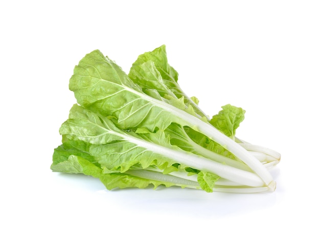 Fresh green lettuce on white wall