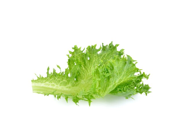 Fresh green lettuce on white wall