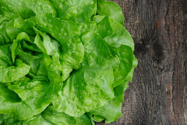 fresh green lettuce on a wooden table