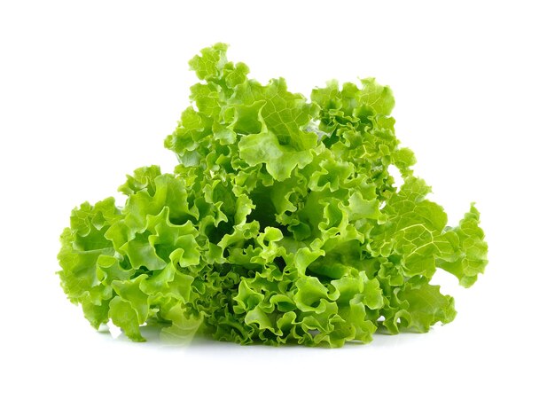 Fresh green lettuce