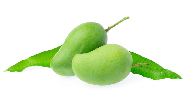 fresh green mango fruit isolated on white background