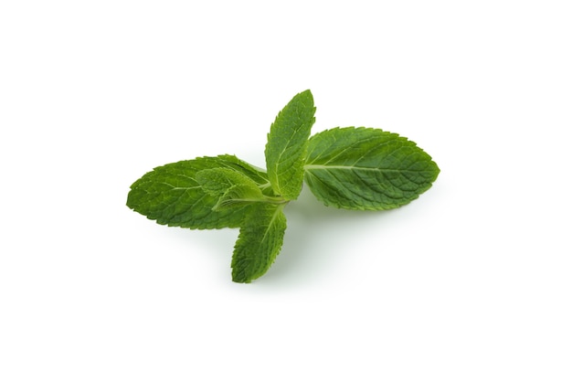 Photo fresh green mint isolated on white