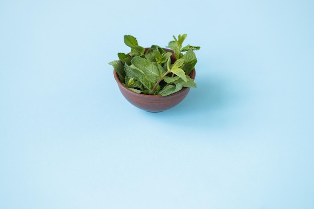 Fresh green mint leaves on blue background flat lay Space for text