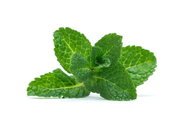 Fresh green mint leaves isolated on white background. top view.