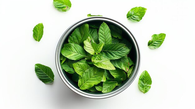 Fresh green mint leaves in a metal bowl on a white background