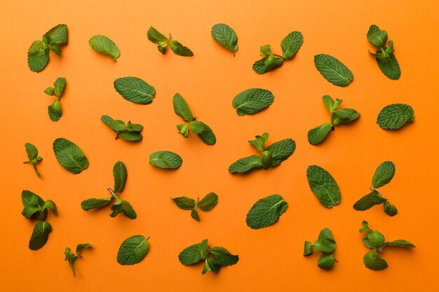 흰색 배경에 신선한 녹색 민트 잎 민트 잎 패턴 복사 공간이 있는 상위 뷰