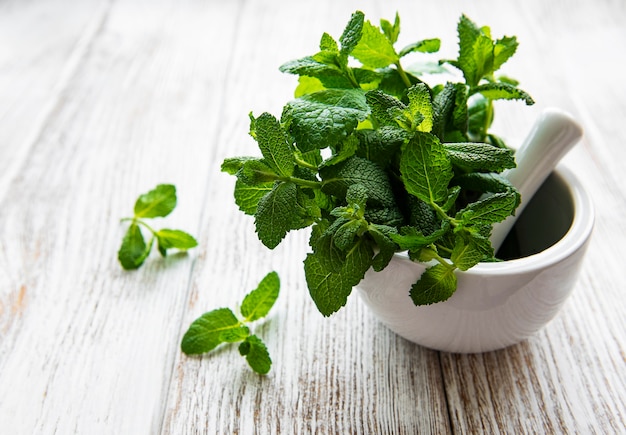 Fresh green mint in mortar on white wooden background