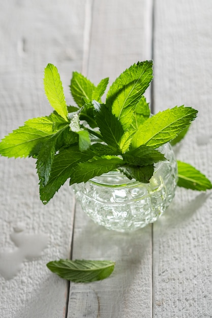 Photo fresh green mint