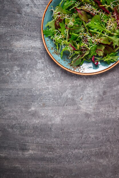 Fresh Green mix Salad with  Microgreen.