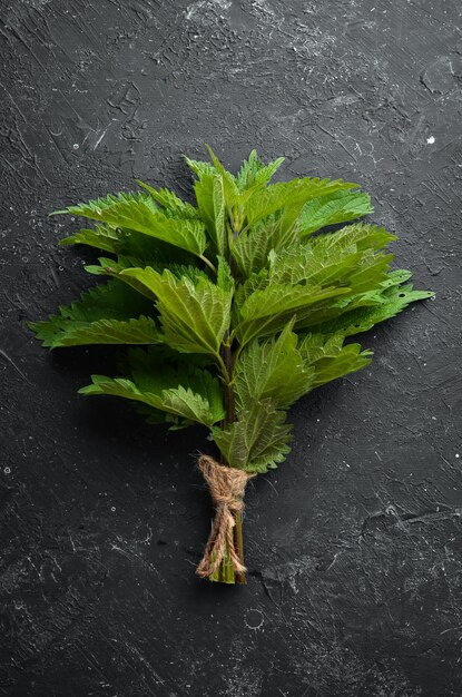 Photo fresh green nettles healthy herbs on a black stone background top view