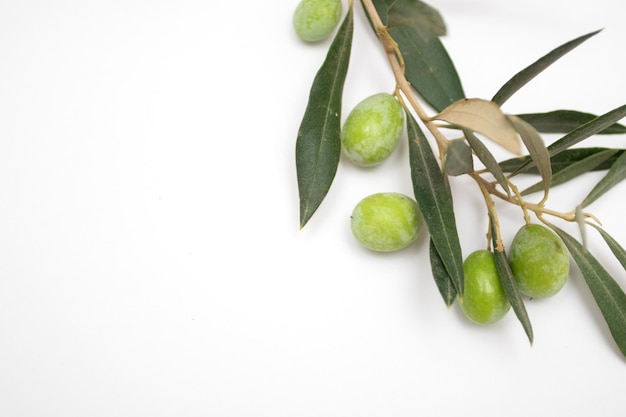 Фото Свежие зеленые оливки на ветке на белом фоне.