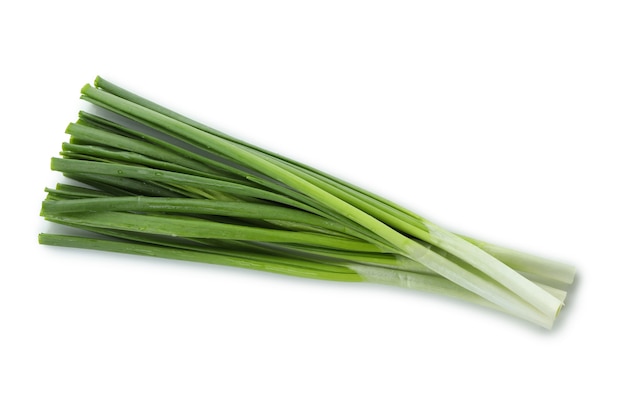 Fresh green onion isolated on white isolated background