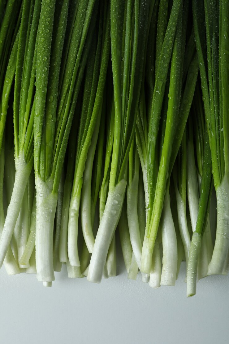 Photo fresh green onion with water drops
