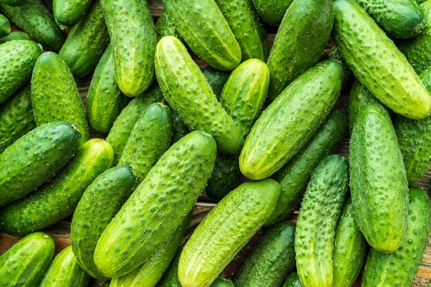 Fresh green organic cucumber layout