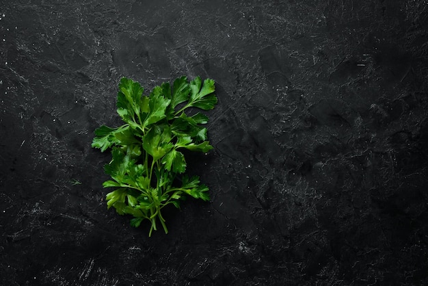 Fresh green parsley on black stone background Vegetables Top view Free space for your text