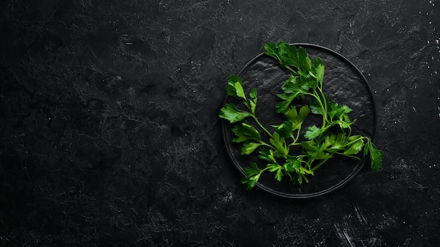 Fresh green parsley on black stone background Vegetables Top view Free space for your text