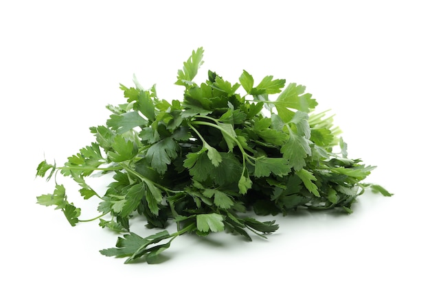 Fresh green parsley isolated on white background