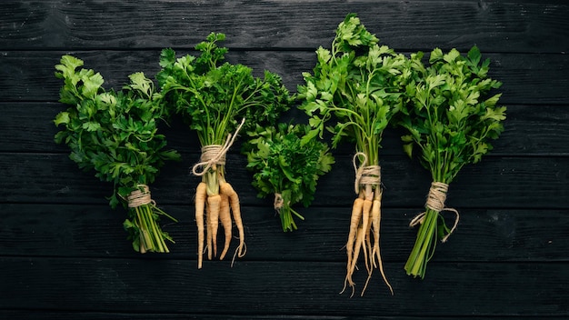 Fresh green parsley Root parsley On a wooden background Top view Copy space