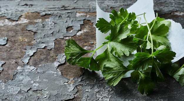 Fresh green parsley on table