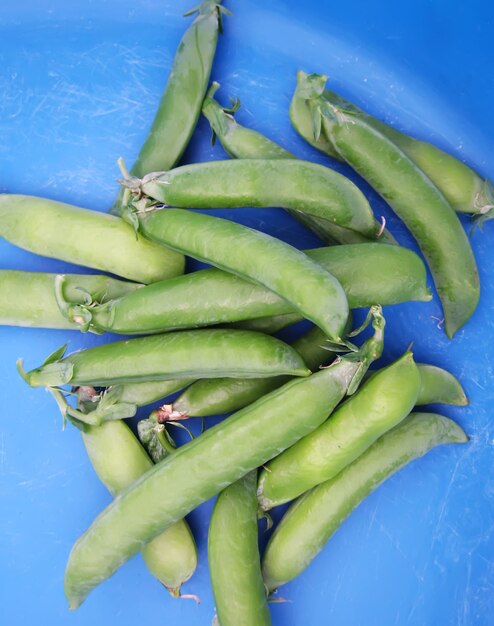 Fresh green peas on blue background.